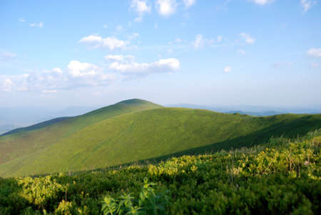 Carpathian mountains の写真素材