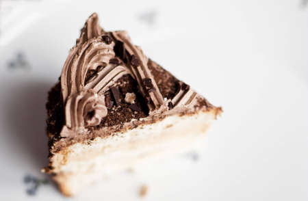 chocolate cake on a white plate