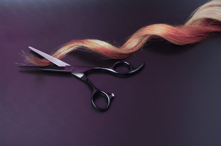Open Black Scissors With a Strand of Blond Curl Hair on a Dark Background, Professional Hairdressing Shears, Low Lightsの写真素材