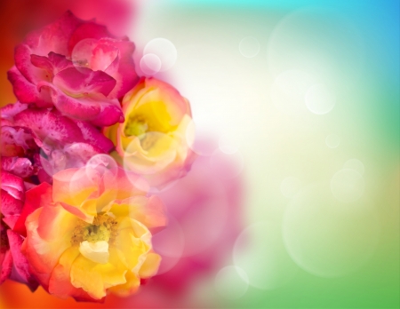 Virbant colored flowers background with copyspaceの写真素材