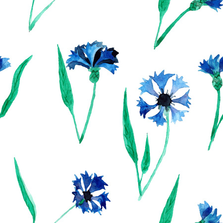 Seamless pattern with beautiful watercolor cornflowers.のイラスト素材