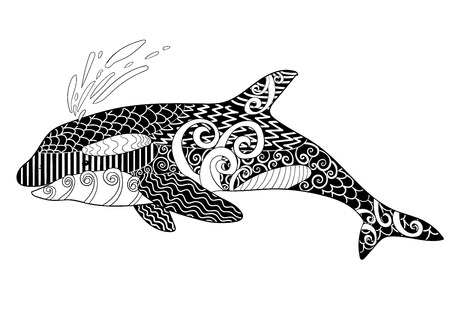 Killer whale with high details.のイラスト素材