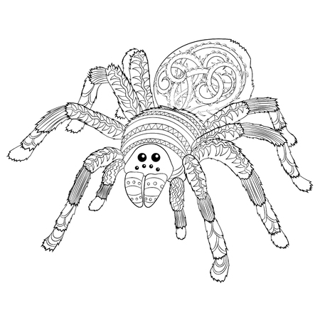 Adult coloring page with Halloween nasty spiderのイラスト素材