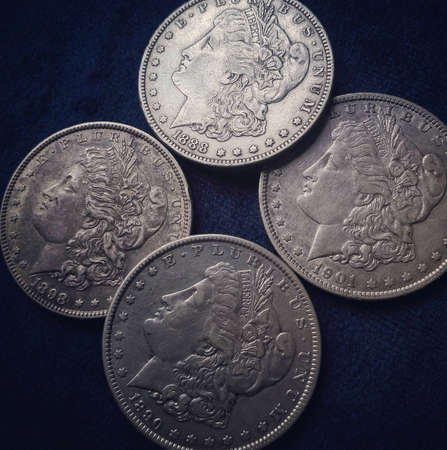 Dollarsの写真素材