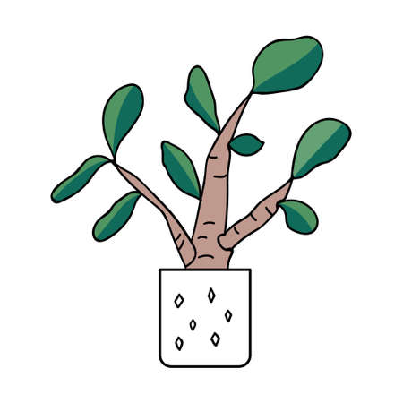 Decorative green houseplant in a pot. Colored flat vector illustration.のイラスト素材