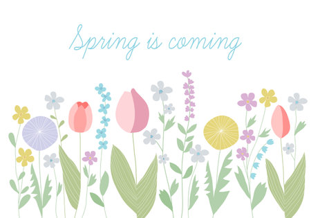 Delicate spring, summer flowers on a white background. Vector illustration. Abstract yellow, pink, blue flowers.のイラスト素材