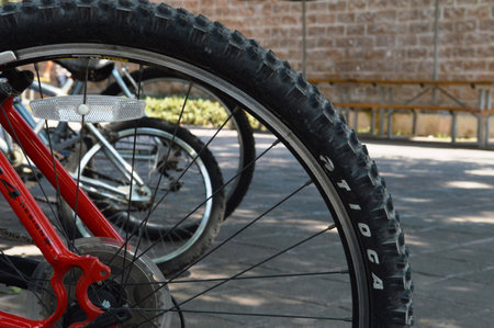 Bicycles lined up in order