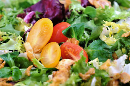 Red and yellow cherry tomato salad with curly endive, chicory, lamb's lettuce, arugula and fried...