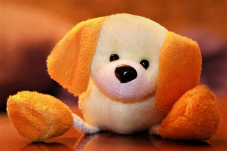 Macro of stuffed puppy sitting on wooden table with orange backgroundの写真素材