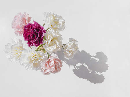 Flowerpot with flowers from aboveの写真素材