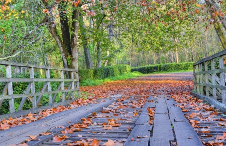 Bridge in autumnの写真素材