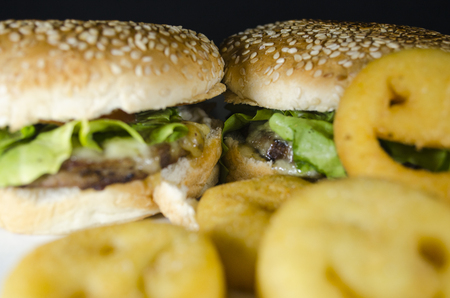 Delicious hamburger with sesame bread and french fries smileの写真素材