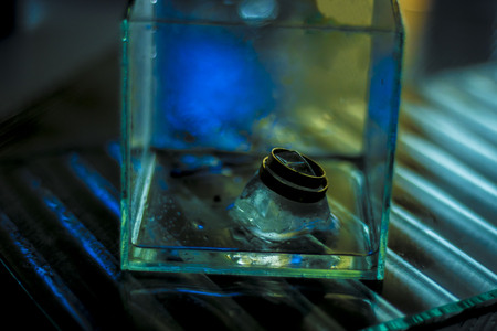 Wedding rings on iceの写真素材