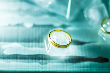 Wedding rings on iceの写真素材