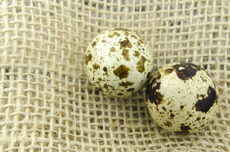 Quail eggs on fabricの写真素材