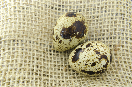 Quail eggs on fabricの写真素材
