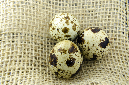 Quail eggs on fabricの写真素材