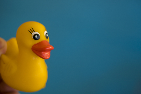 Pool yellow duckの写真素材