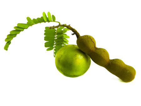 Tamarind fruit isolated on white backgroundの写真素材