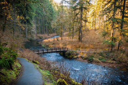Silver Falls Creekの写真素材