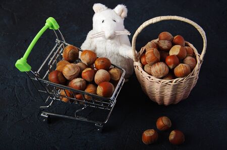 Hazelnuts, filbert on wooden backdrop. heap or stack of hazelnuts. Hazelnut background, healty foodの写真素材