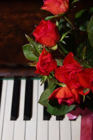 Piano Key and red rose close up shot - Vertical View from Topの写真素材