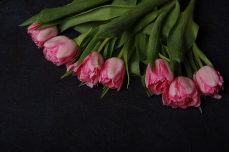 Pink red tulips bouquet on black baclground - Horizontalの写真素材