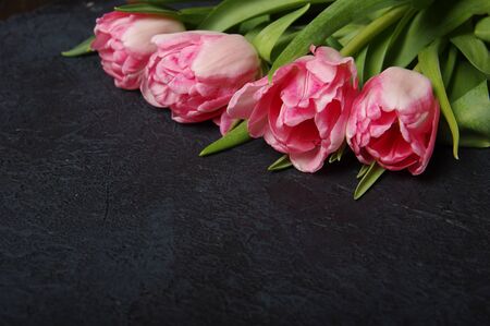 Pink red tulips bouquet on black baclground - Horizontalの写真素材