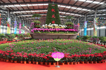 Flower Expoのeditorial素材