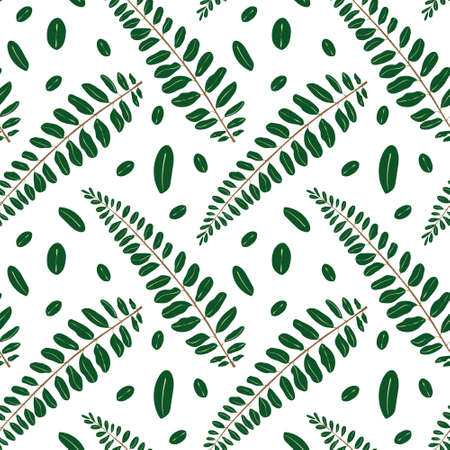 Tropical leaves pattern. Seamless vector pattern with with green acacia leafのイラスト素材