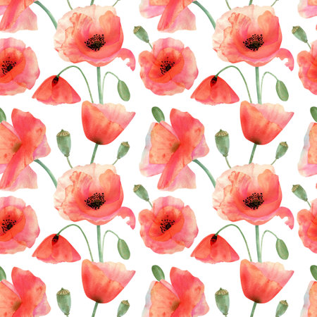 Seamless watercolor pattern pattern with poppy flower. Botanical illustration with red summer flowers, green budの写真素材