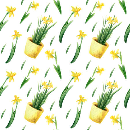 Daffodil flowers pattern. Watercolor seamless pattern with botanical illustration of yellow bright flower, potter flowers and leavesの写真素材