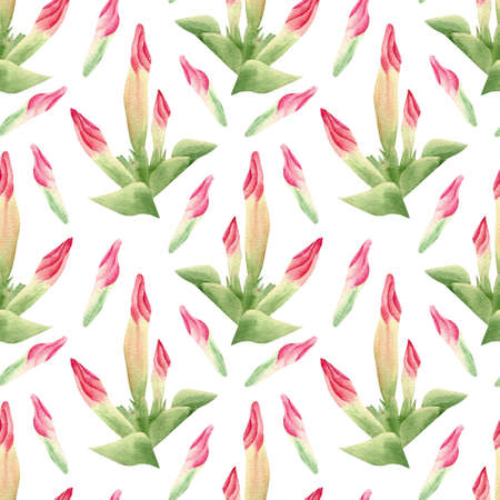 Seamless tropical flowers pattern. Botanical illustration with pink flower, petal, leavesの写真素材