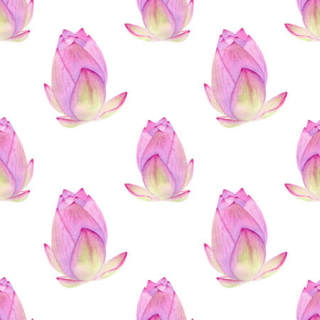 Seamless floral pattern. Watercolor botanical illustration with delicate pink tropical lotus flowerの写真素材