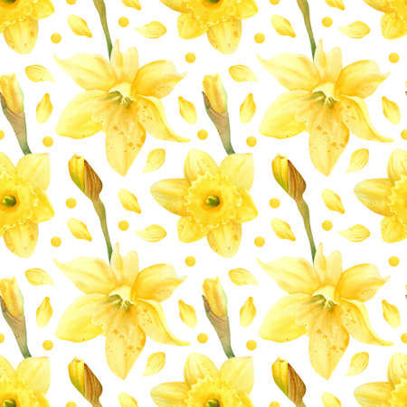 Watercolor Daffodils pattern. botanical illustration with spring narcissus flower, bud, petals textureの写真素材