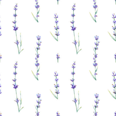 Seamless lavender flowers pattern. Watercolor floral background with violet and blue summer flower, plant, branches for textileの写真素材