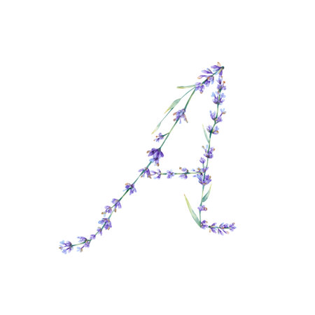 Floral Letter A. Watercolor hand drawn alphabet letter with botanical illustration of lavender flowers, leaves and branch. Initial letter for greeting cards, invitationsの写真素材