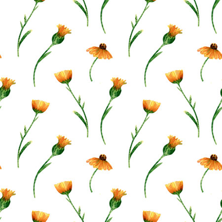 Seamless calendula flowers pattern. Watercolor background with yellow and orange wildflowers, green leaves on stem. Ornament with plants for textile, wallpapersの写真素材