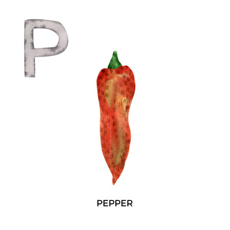 Watercolor letter P with red pepper illustration. English ABC, alphabet with paprika vegetable illustrationの写真素材