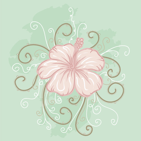 pink hibiscus on a light green backgroundのイラスト素材
