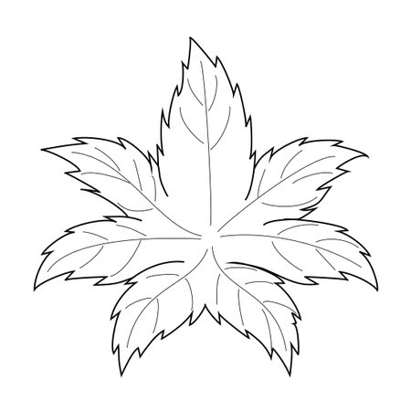 Marijuana leaf. Coloring. Black outline on a white background.のイラスト素材
