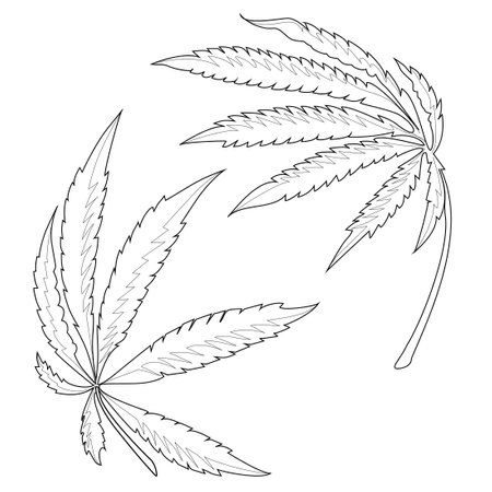 Two marijuana leaves form a spherical shape. Coloring book page. Black outline on a white background.のイラスト素材