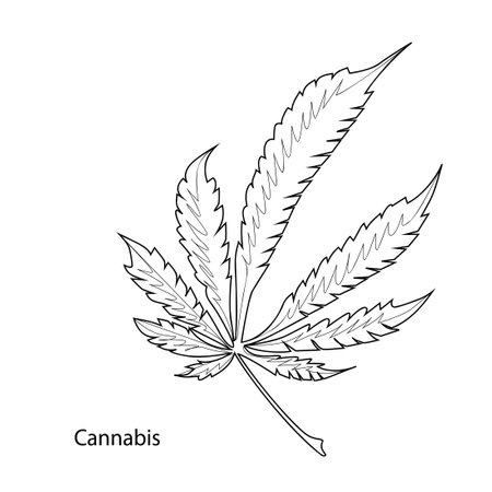 Marijuana leaf. Coloring. Black outline on a white background.のイラスト素材