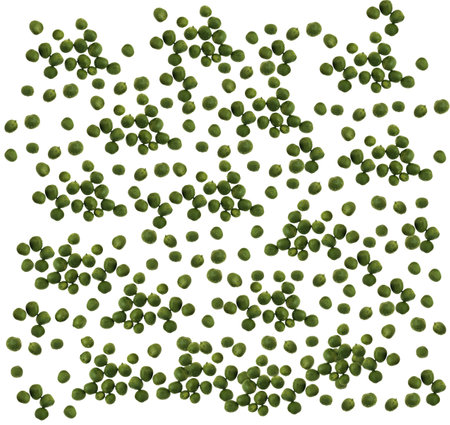 Background with green peas on a white background. Nobody. Pea wave.の写真素材