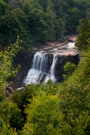 Forest Waterfallの写真素材