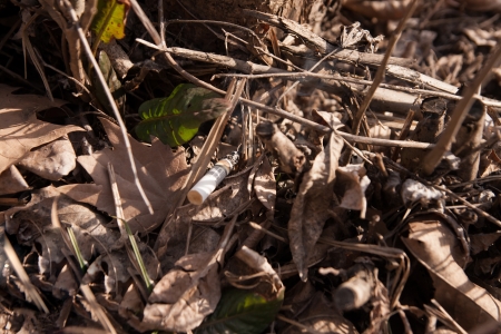 start a fire. someone put out a cigarette in the woodsの写真素材