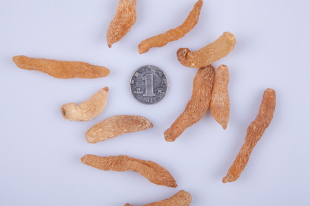Gastrodia elata Blume and coin