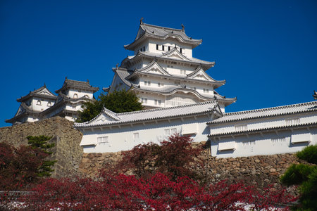 Photo of the the himeji castle with the autumn leavesのeditorial素材