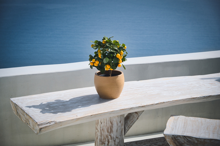 Photo of the fruit vase at the table with the Santorini Viewの写真素材