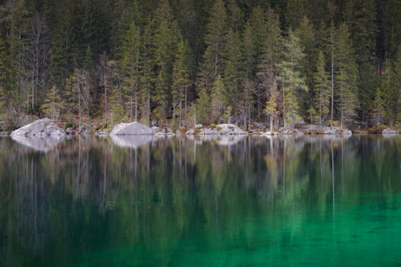 Photo of the view of the Lake Hinterseeの写真素材